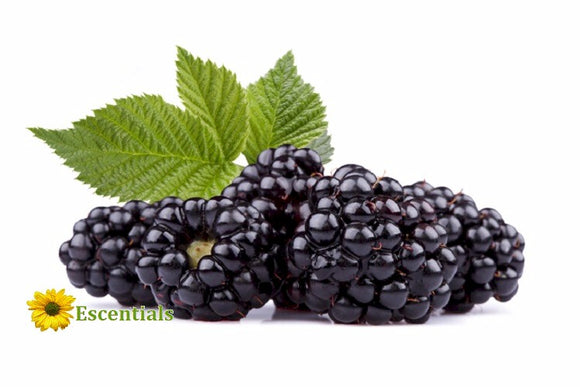 Black Raspberry Flavor Oil - Unsweetened - 1/2 Ounce