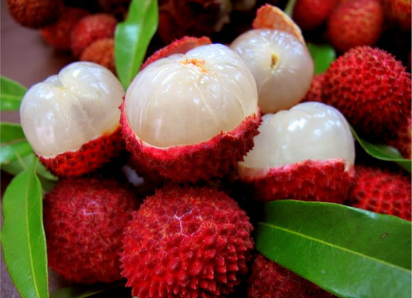 Lychee Fruit Flavor Oil - Unsweetened - 1/2 Ounce