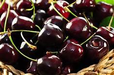 Black Cherry Flavor Oil - Unsweetened - 1/2 Ounce