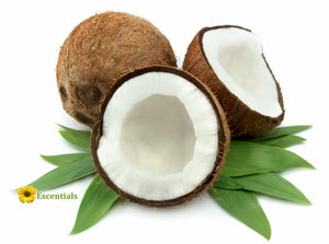 Coconut Flavor Oil - Unsweetened - 1/2 Ounce